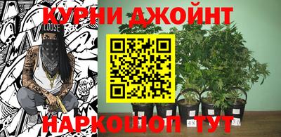 гидропоника Донской