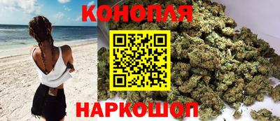 гидропоника Донской