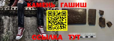 гашик Дубна